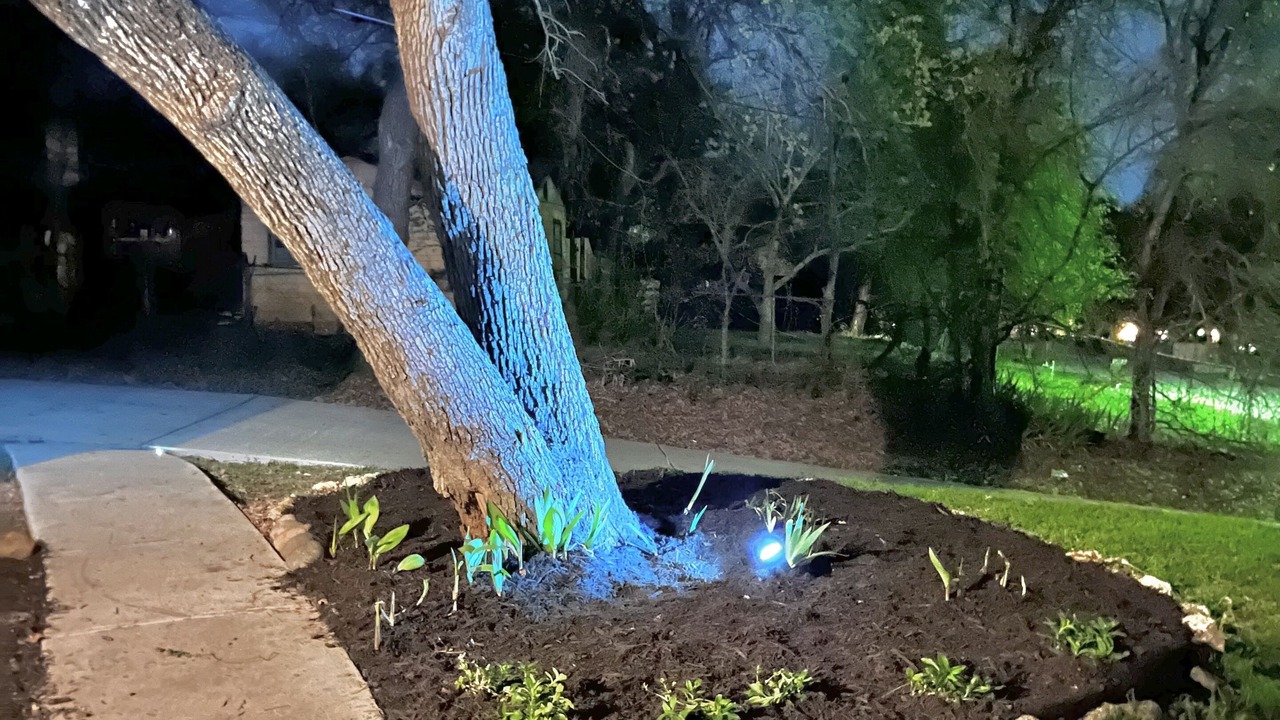 Photo of Outdoor in Azle