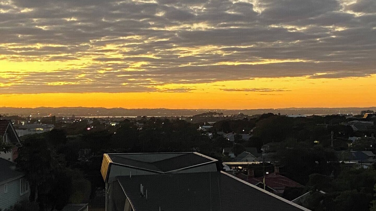 Photo of Others in Mount Eden