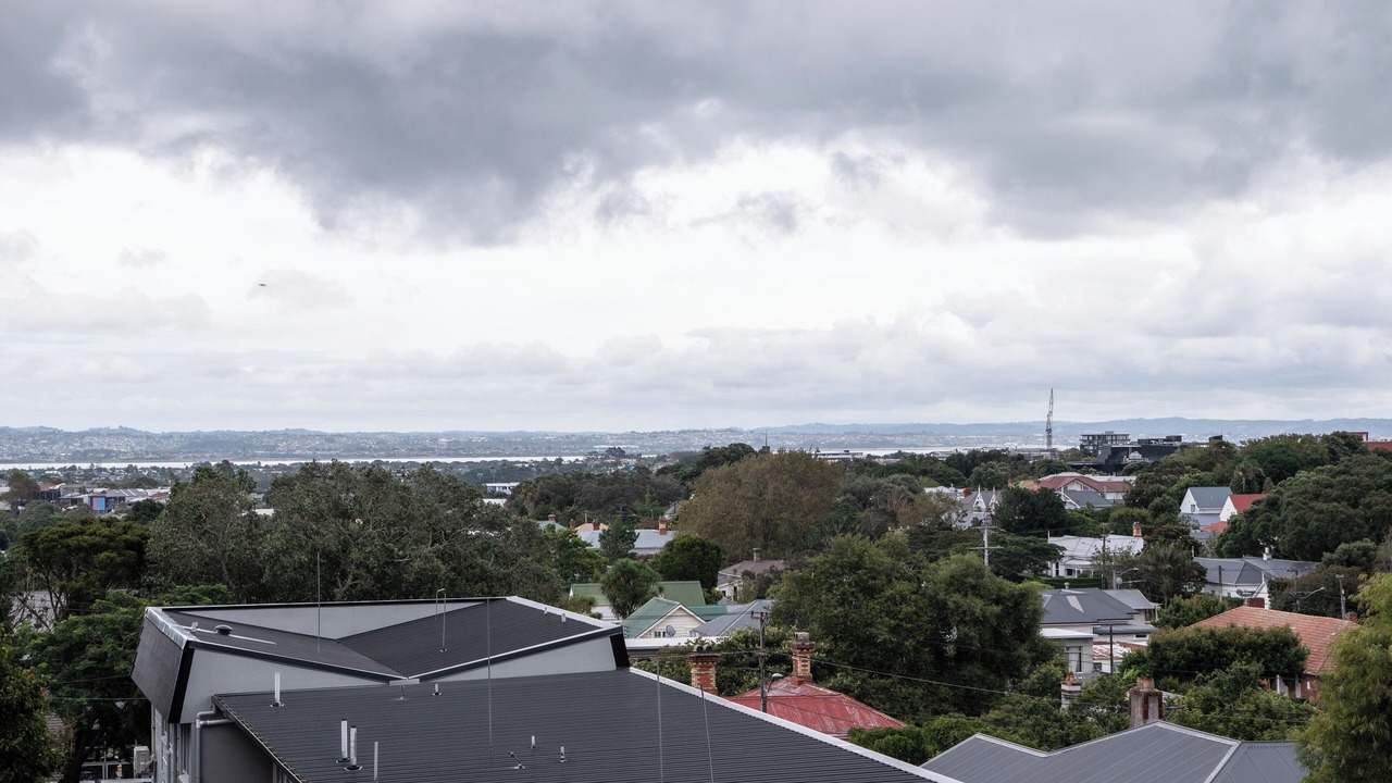 Photo of Others in Mount Eden