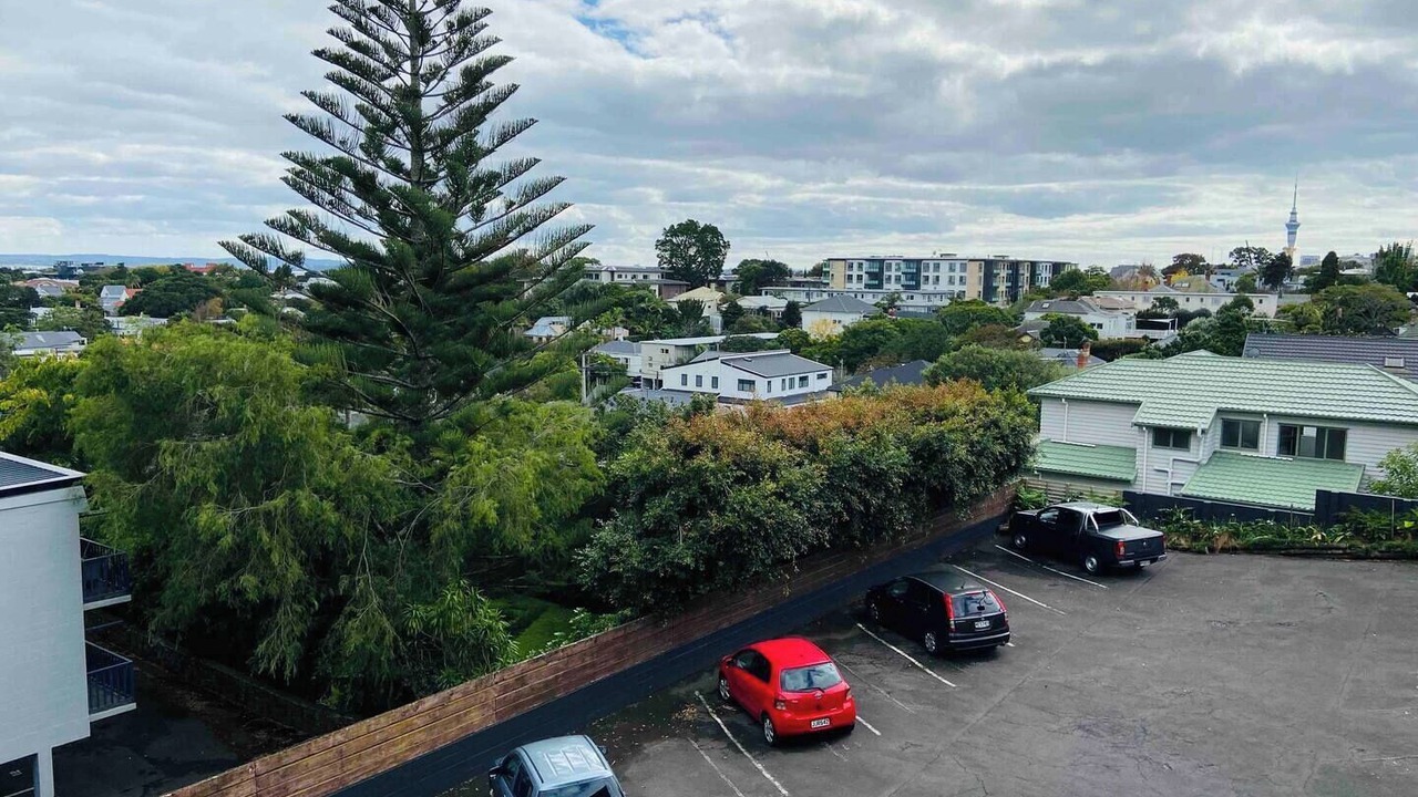 Photo of Outdoor in Mount Eden