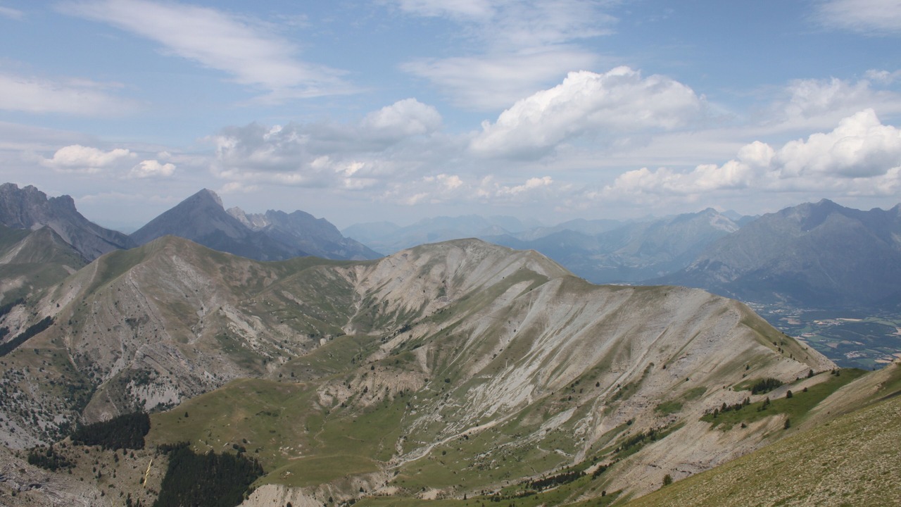 Photo of Others in Gap