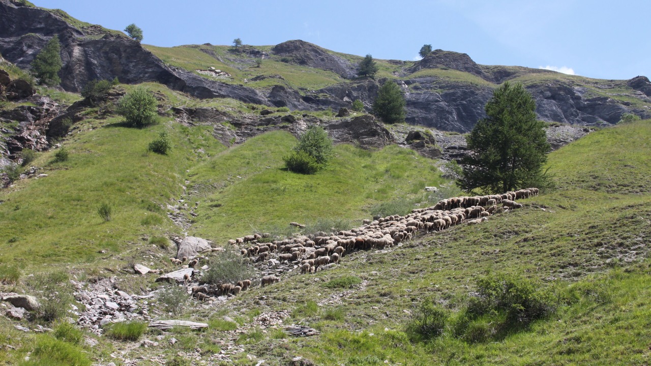 Photo of Outdoor in Gap