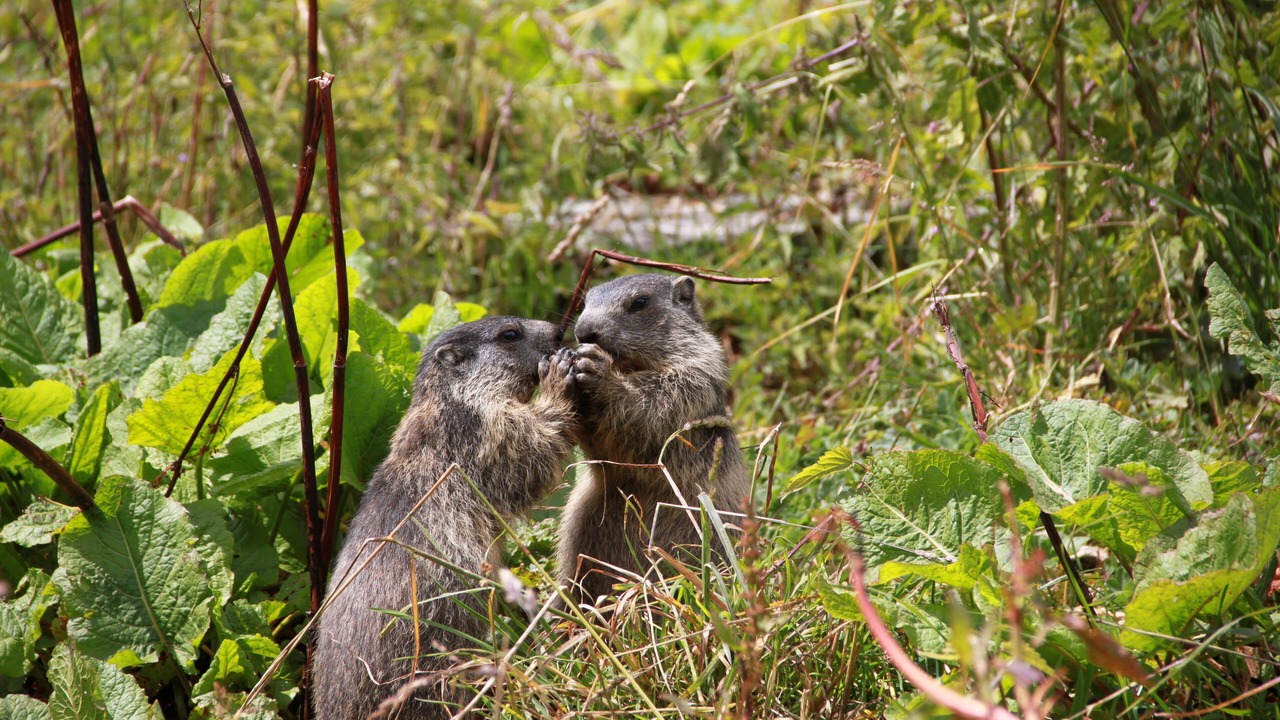 Photo of Outdoor in Gap