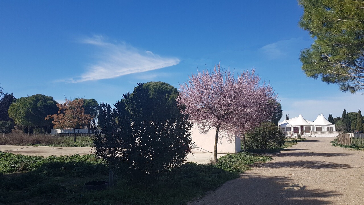 Photo of Outdoor in Saint-Laurent-d'Aigouze