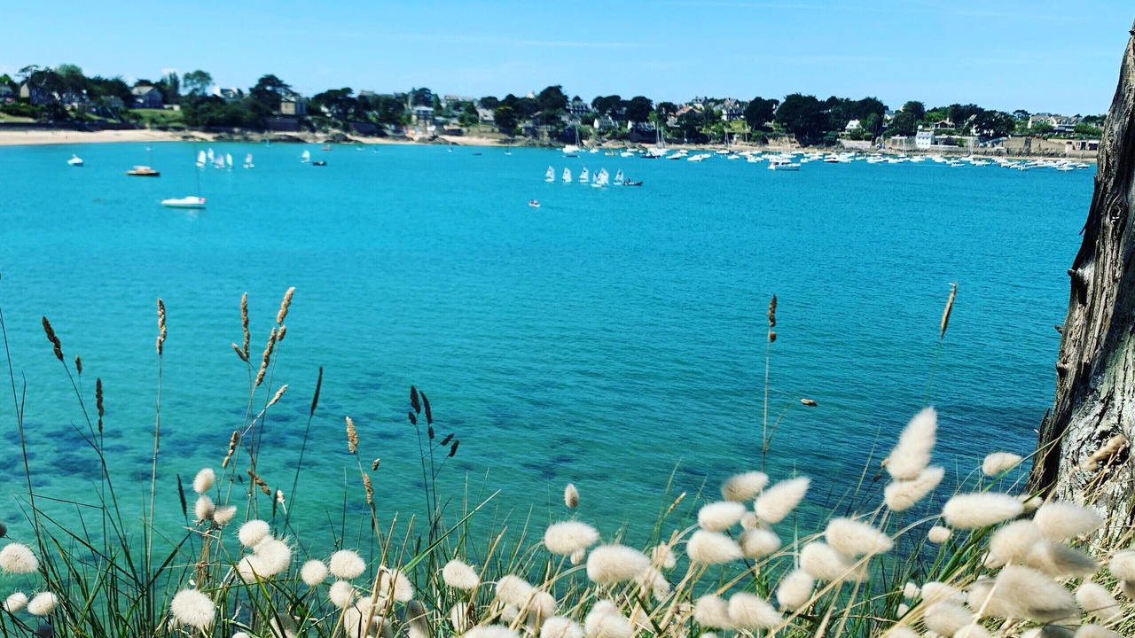 Photo of Others in Cancale