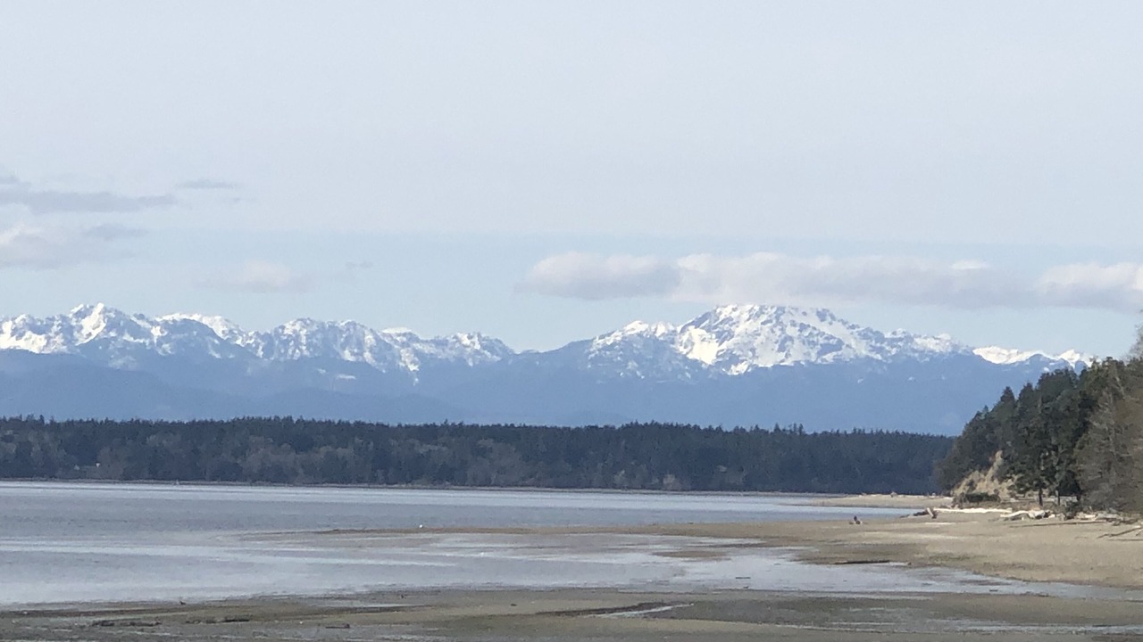 Photo of Others in Lakebay