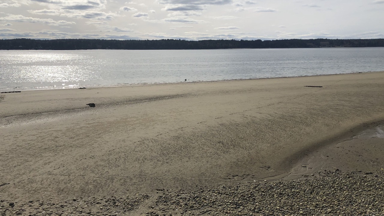 Photo of Others in Lakebay