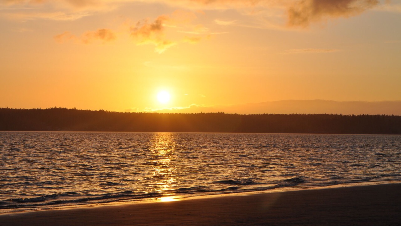 Photo of Others in Lakebay