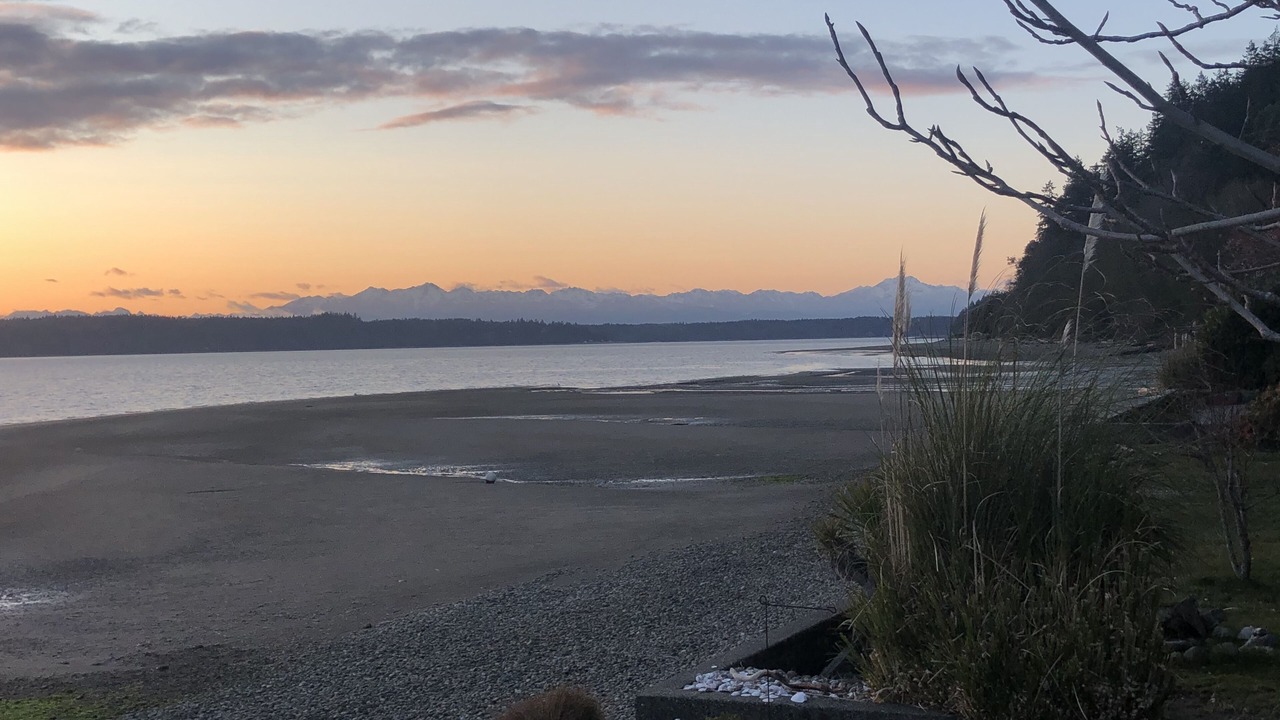 Photo of Others in Lakebay