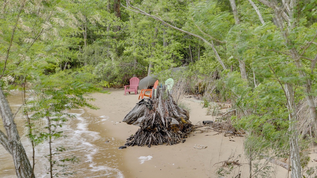 Photo of Others in Cobbs Creek