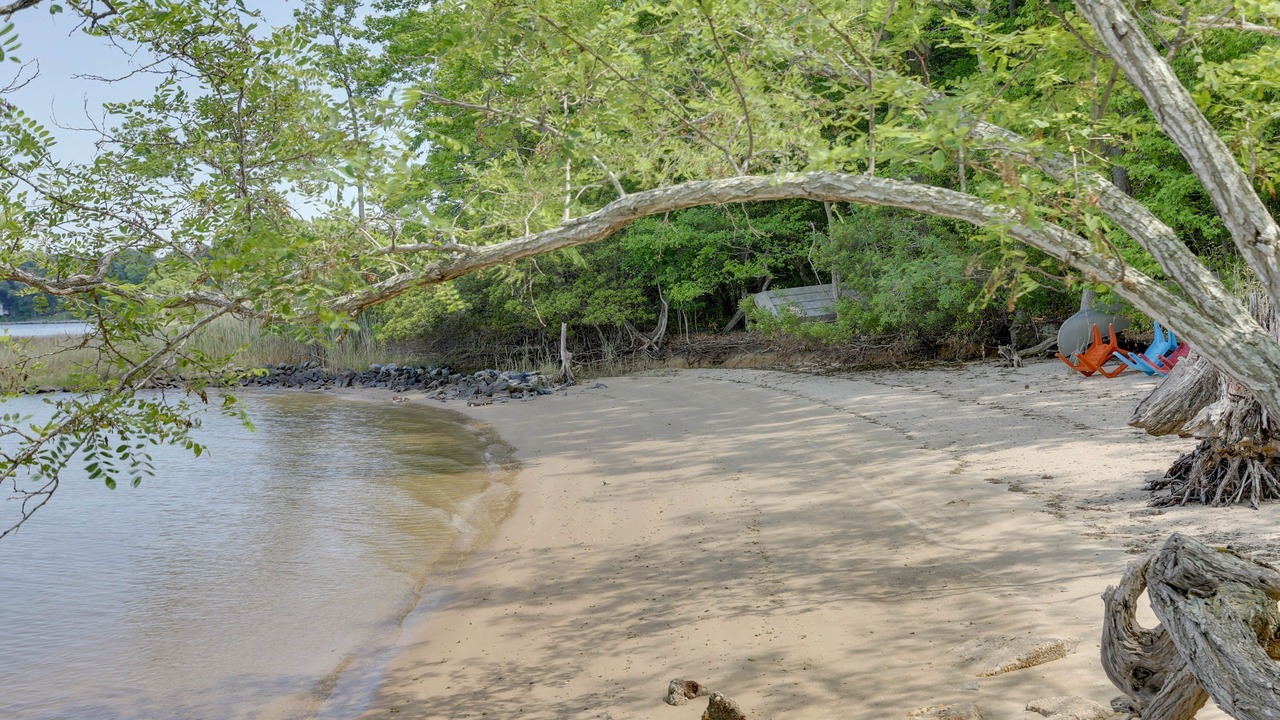 Photo of Others in Cobbs Creek