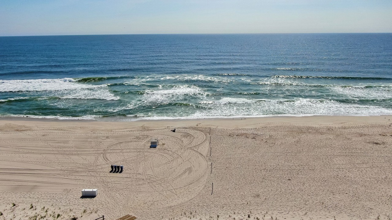 Photo of Others in Ortley Beach