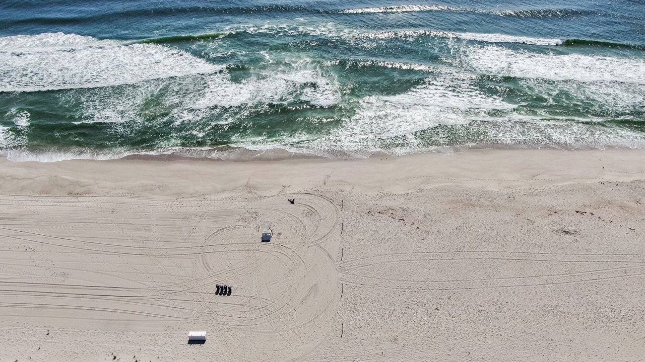 Photo of Others in Ortley Beach
