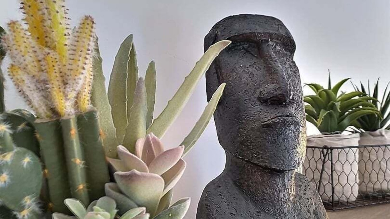 Photo of Others in Troyes