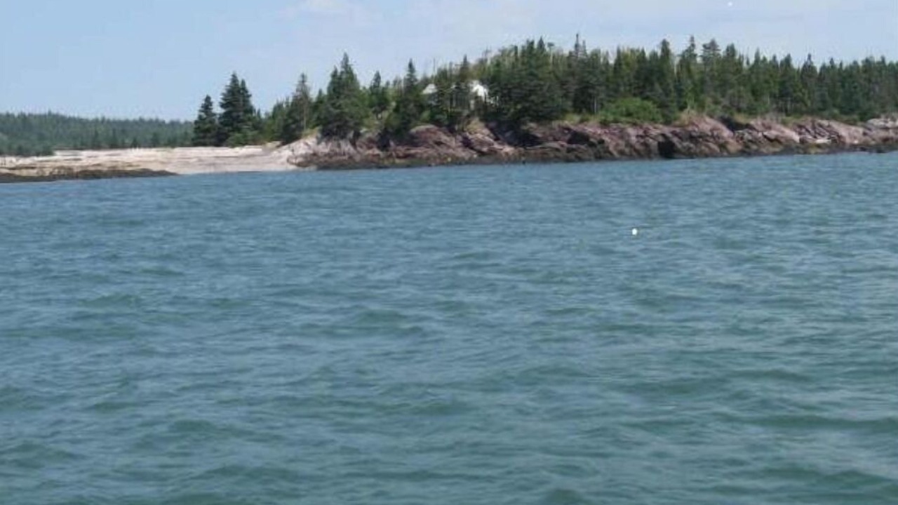 Photo of Others in Chance Harbour