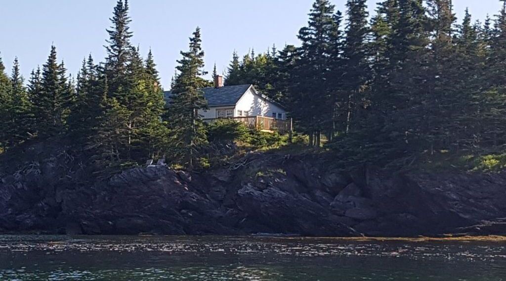 Photo of Others in Chance Harbour
