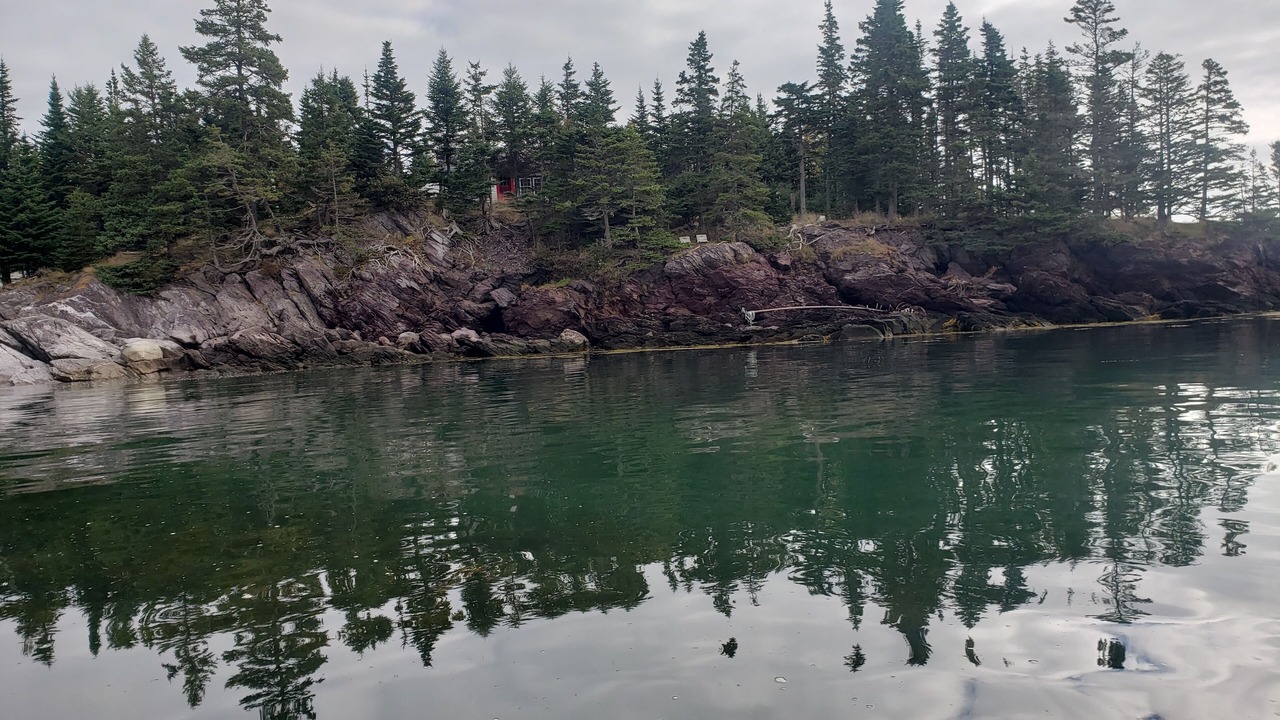 Photo of Others in Chance Harbour