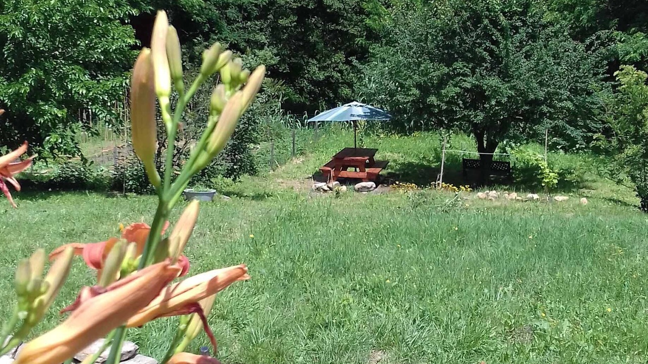 Photo of Outdoor in Le Martinet