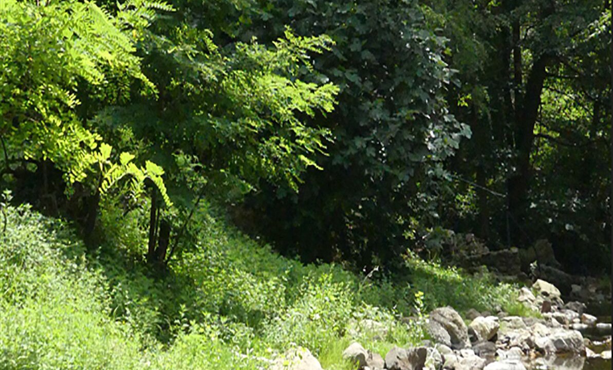 Photo of Outdoor in Le Martinet