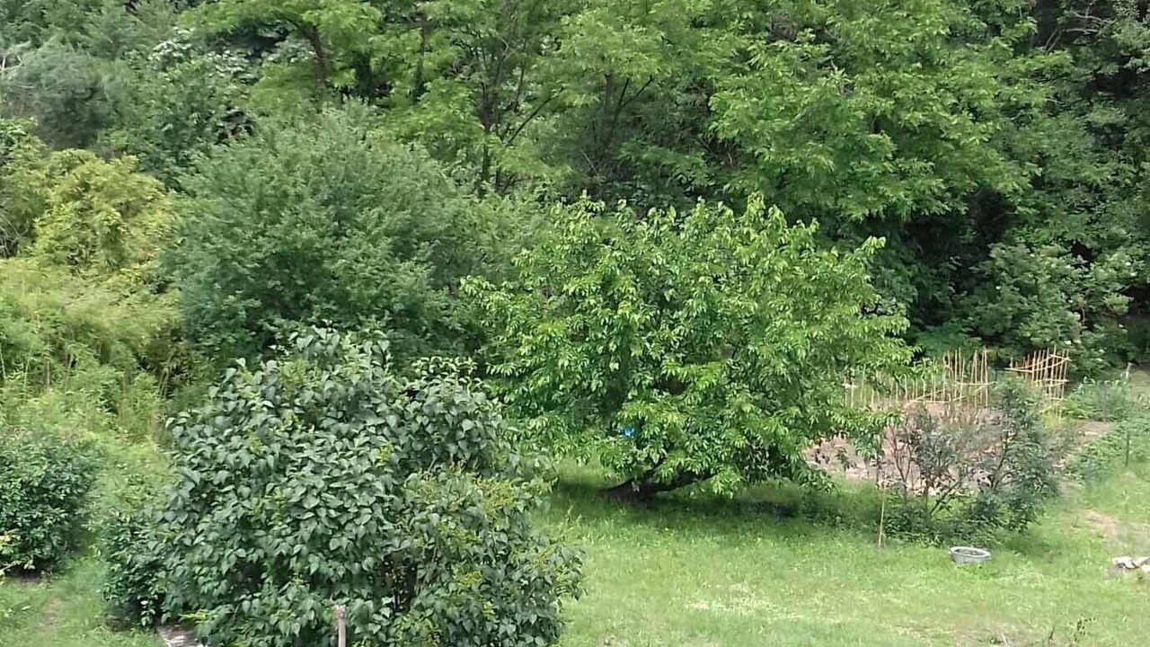 Photo of Outdoor in Le Martinet