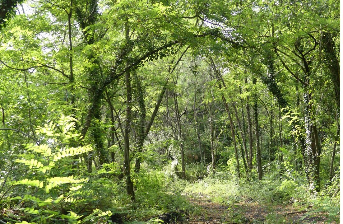 Photo of Others in Le Martinet