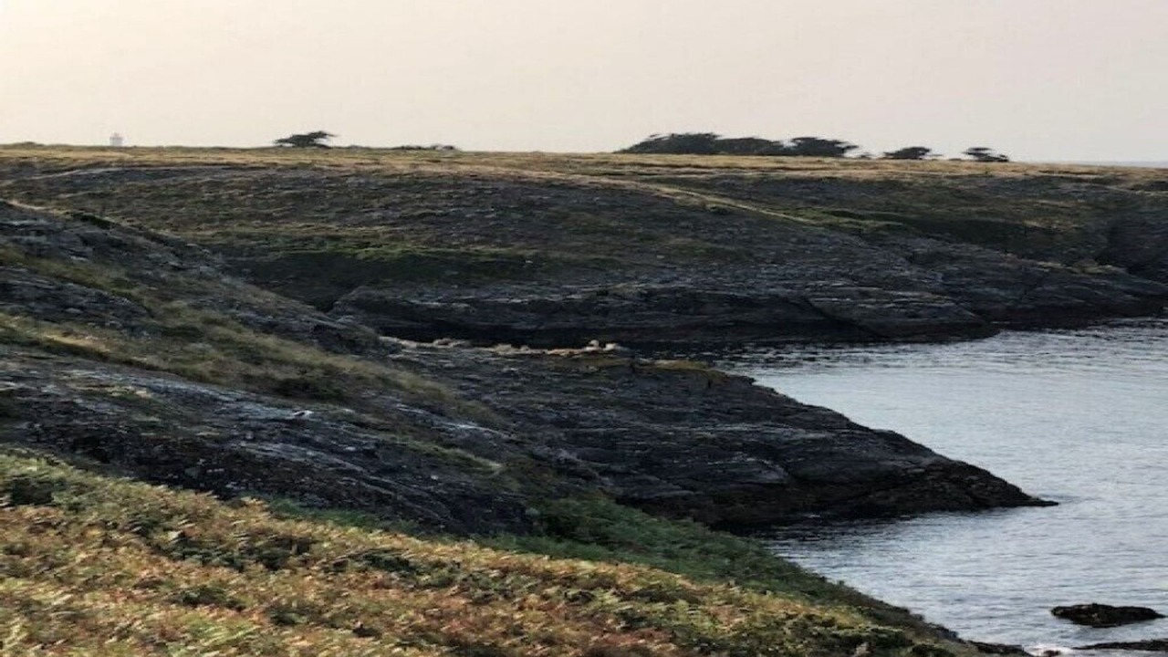 Photo of Others in Bangor