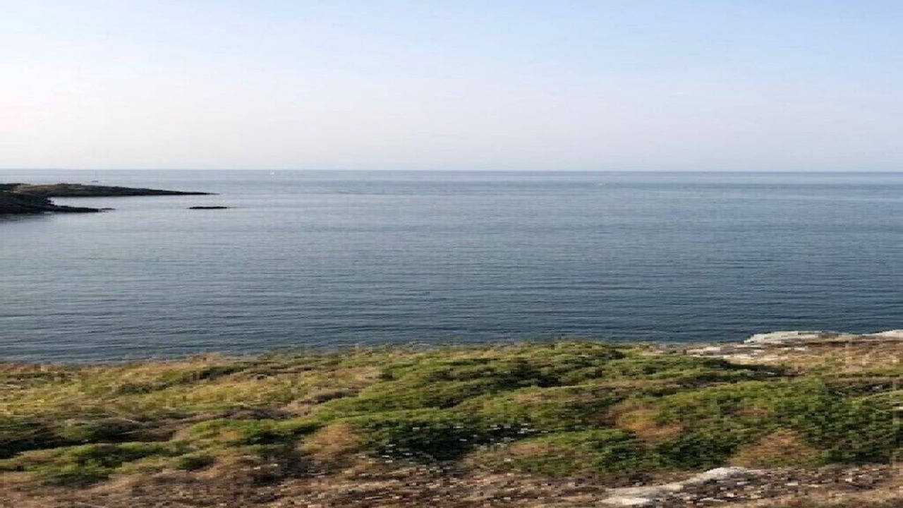 Photo of Others in Bangor