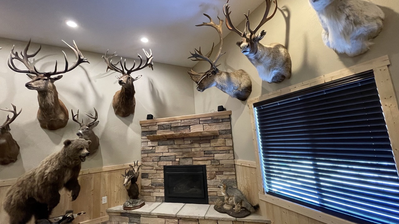 Photo of Others in Helena Valley Northwest