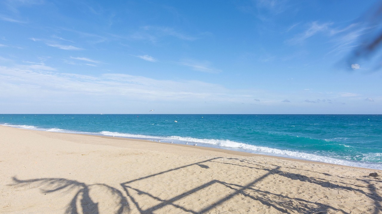 Photo of Others in Pineda de Mar