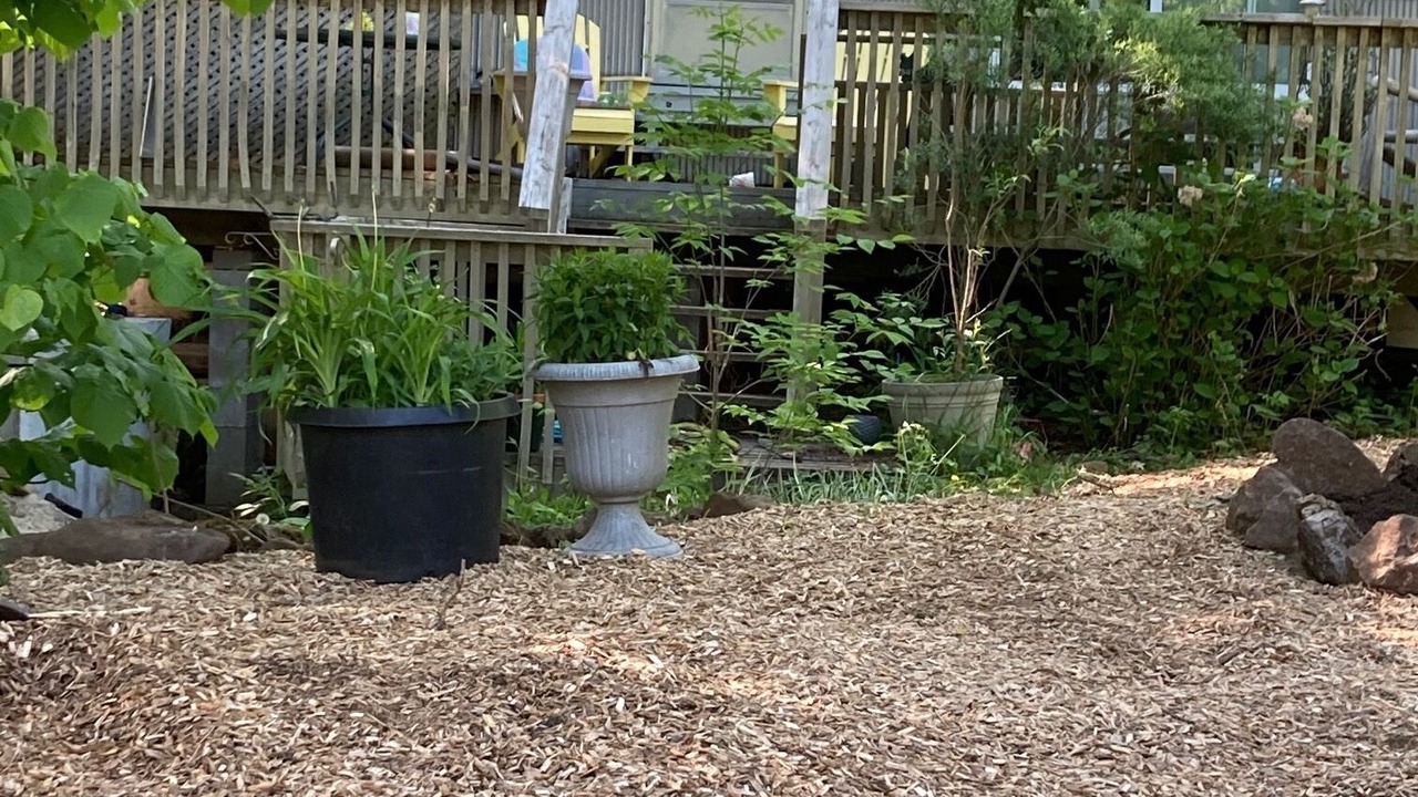 Photo of Outdoor in Gravenhurst