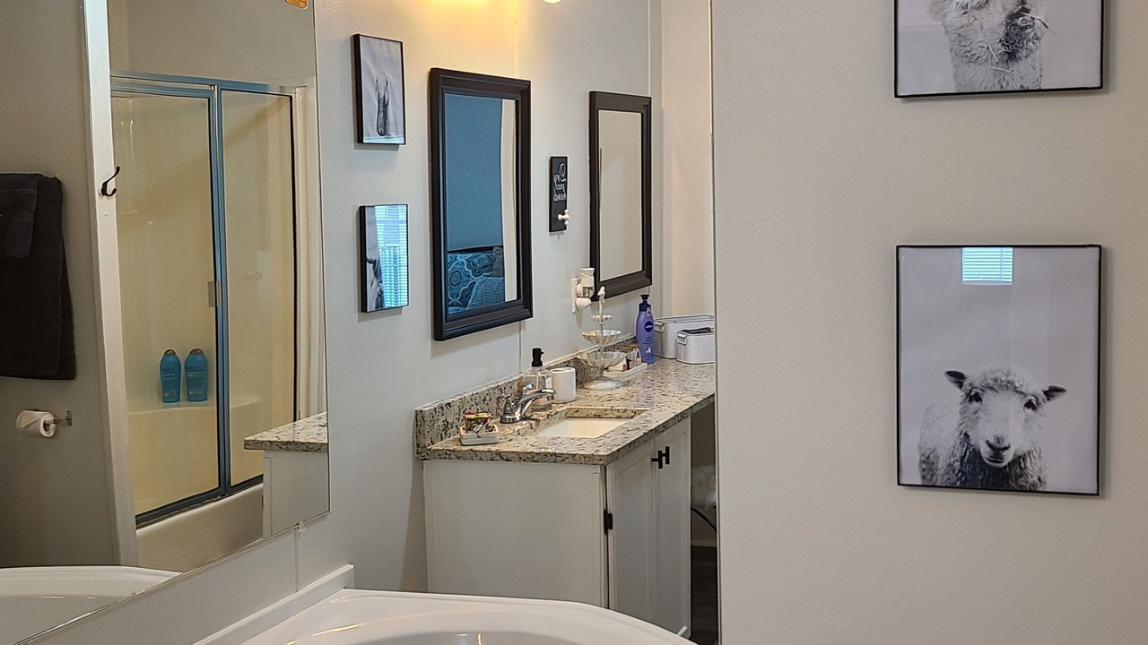 Photo of Bathroom in Blue Ridge