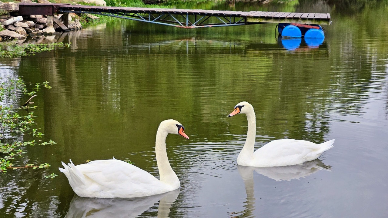 Photo of Outdoor in Greenwich