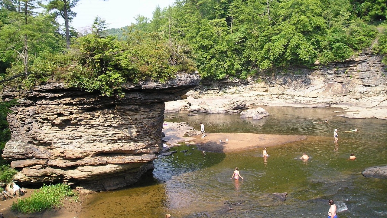 Photo of Others in Crellin