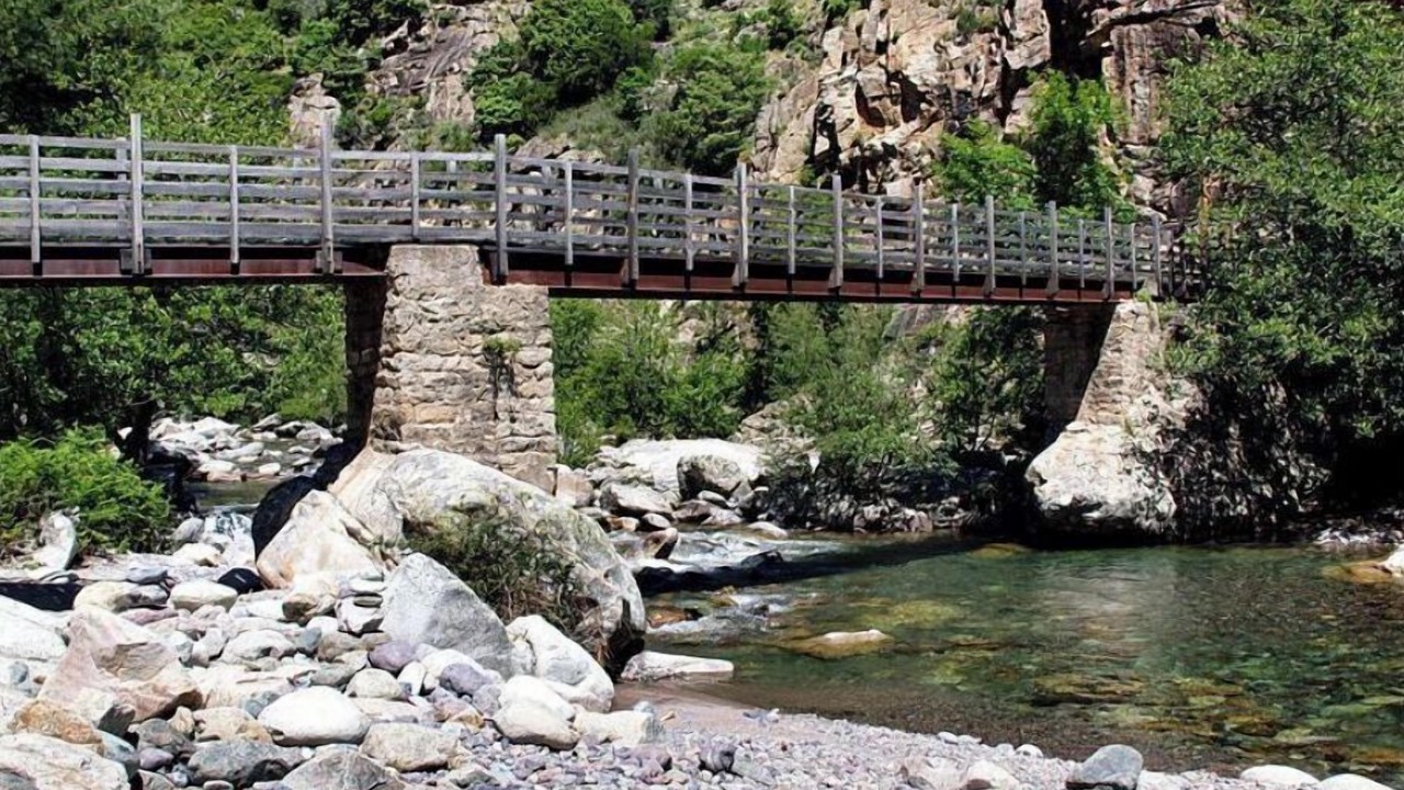 Photo of Others in Moltifao