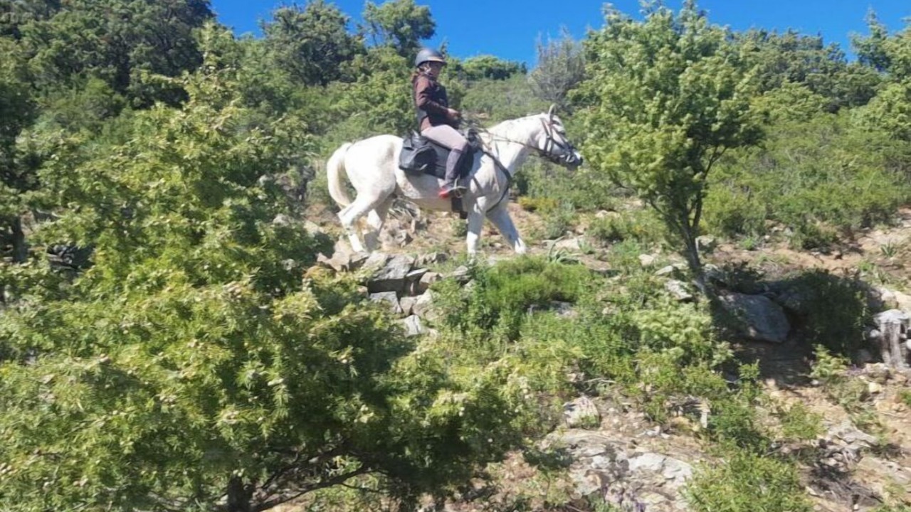 Photo of Outdoor in Moltifao