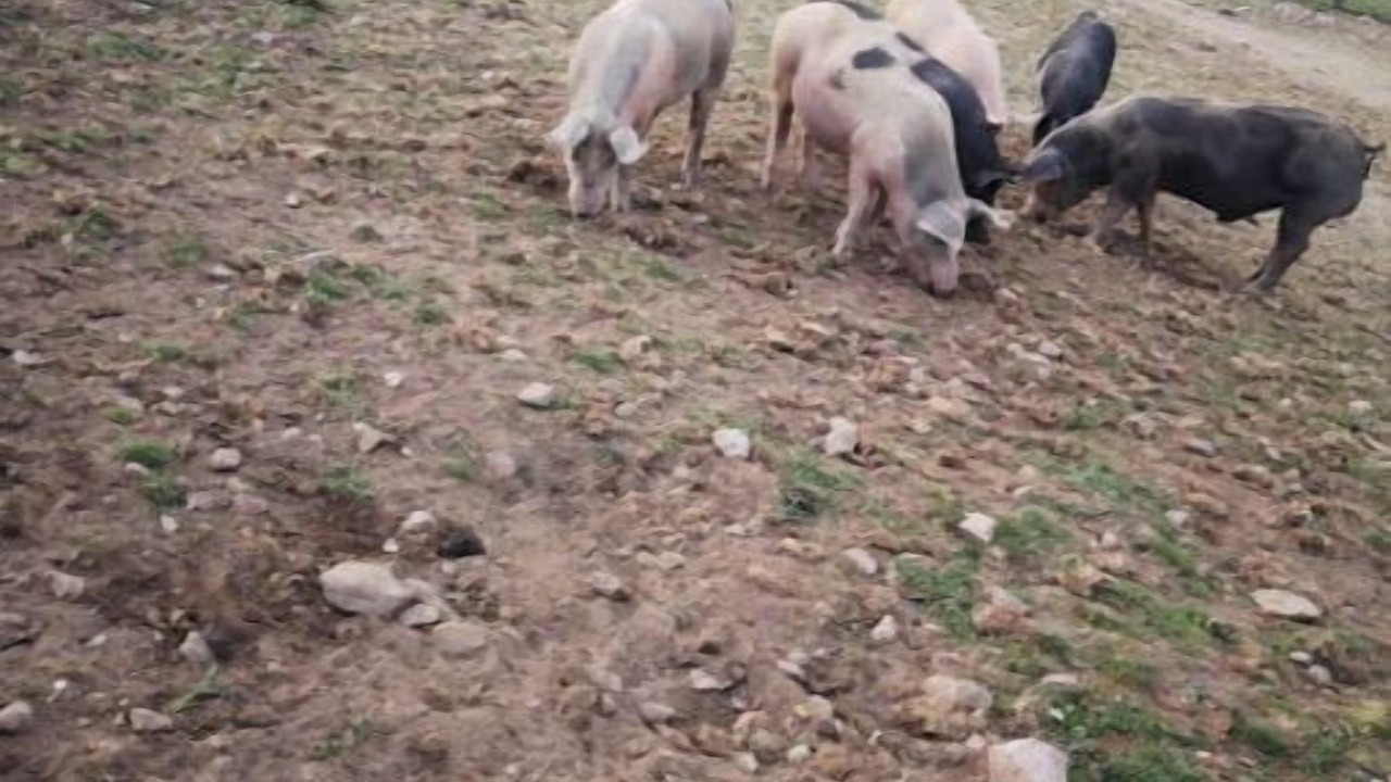 Photo of Outdoor in Moltifao