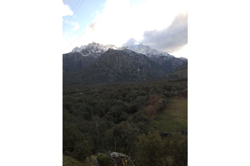 Photo of Others in Moltifao