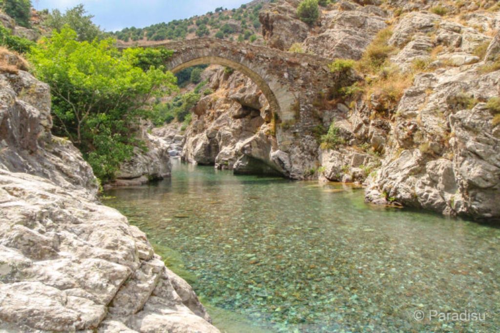 Photo of Others in Moltifao