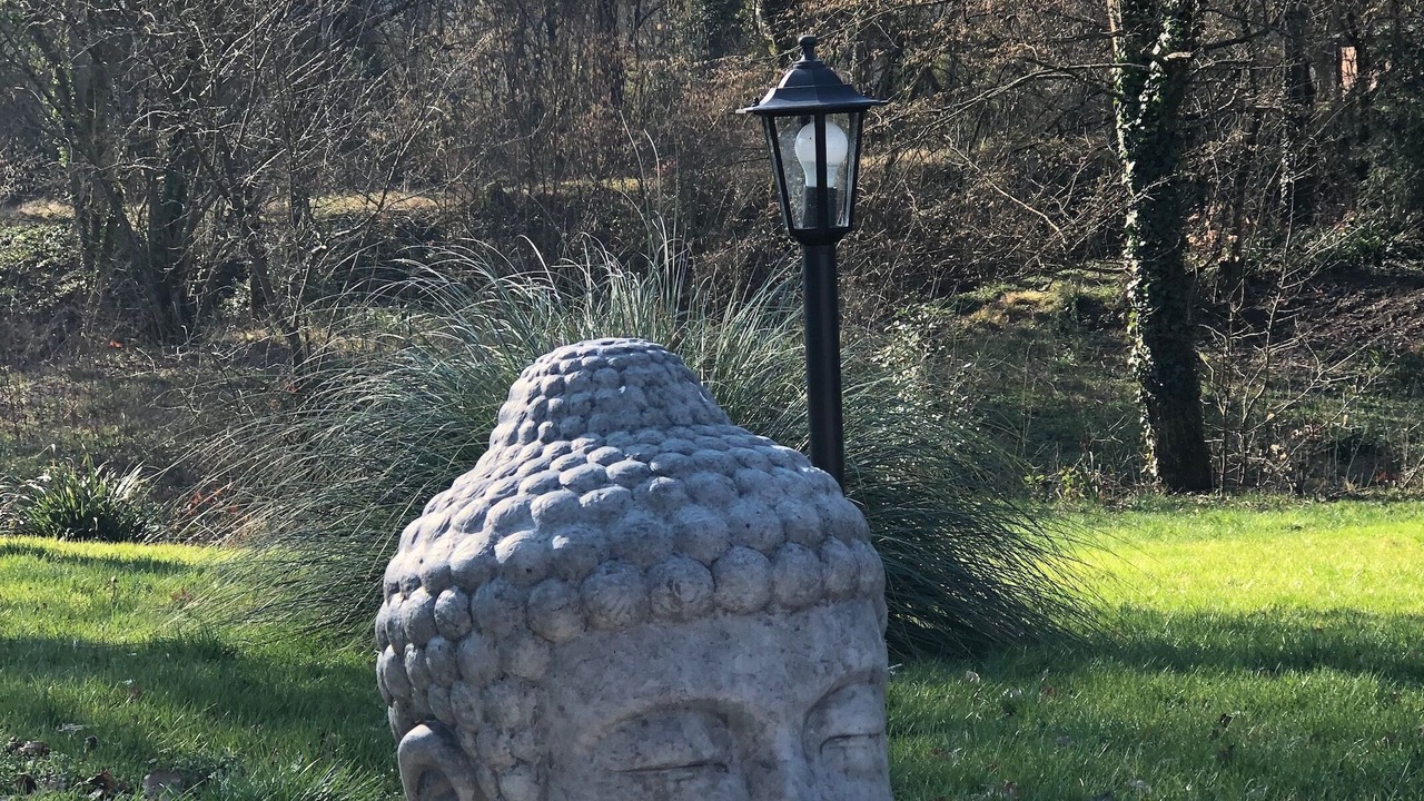 Photo of Outdoor in Saint-Antoine-de-Breuilh