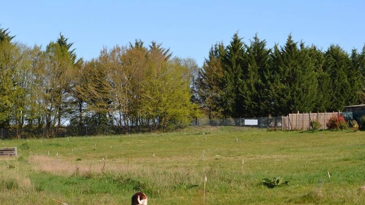 Photo of Others in Thenay