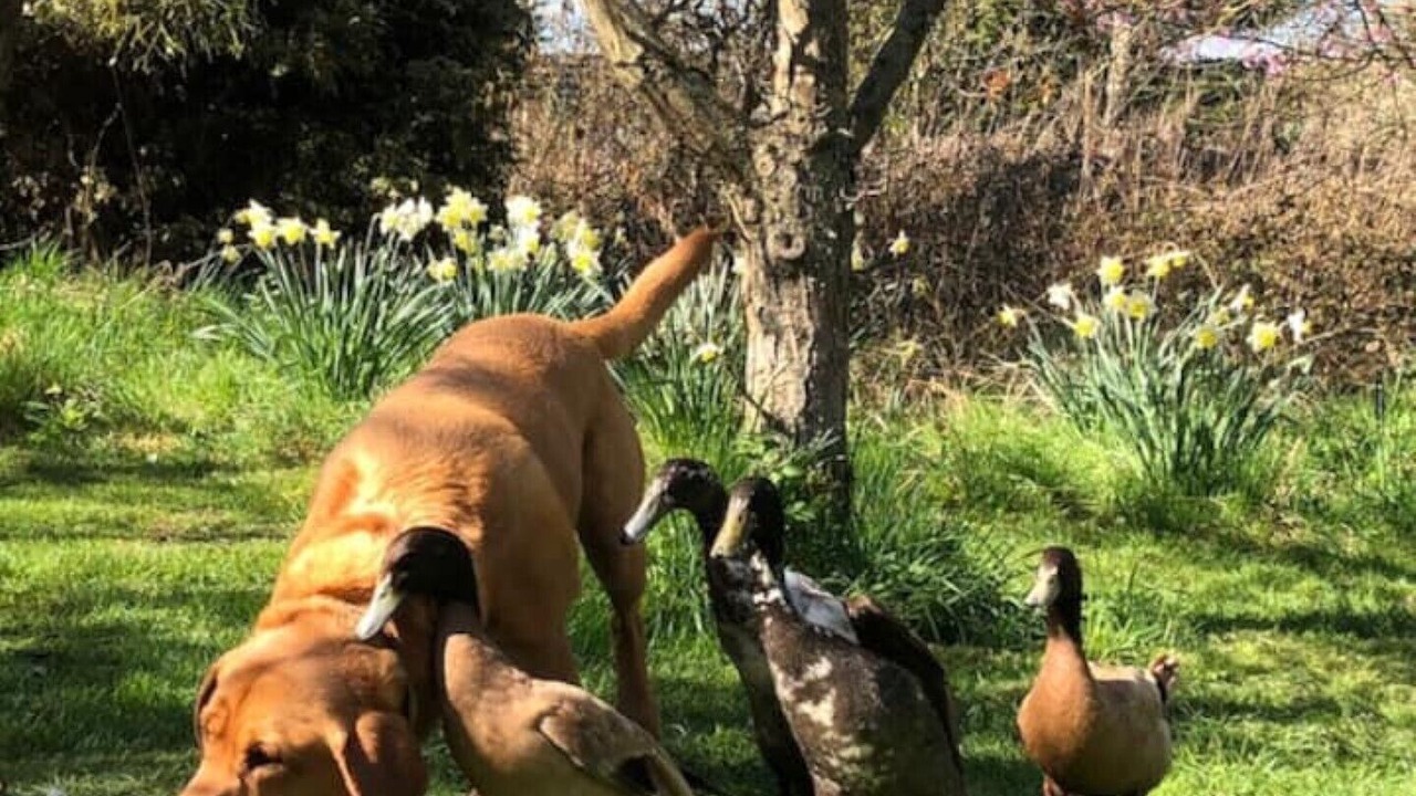 Photo of Others in Great Witley