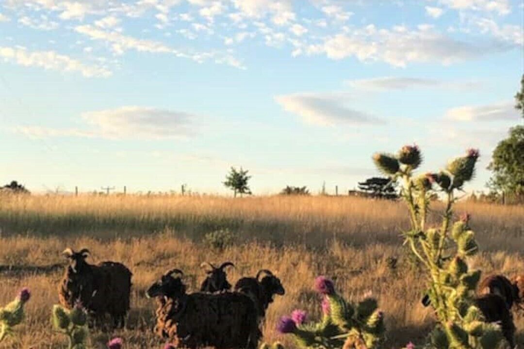 Photo of Others in Great Witley