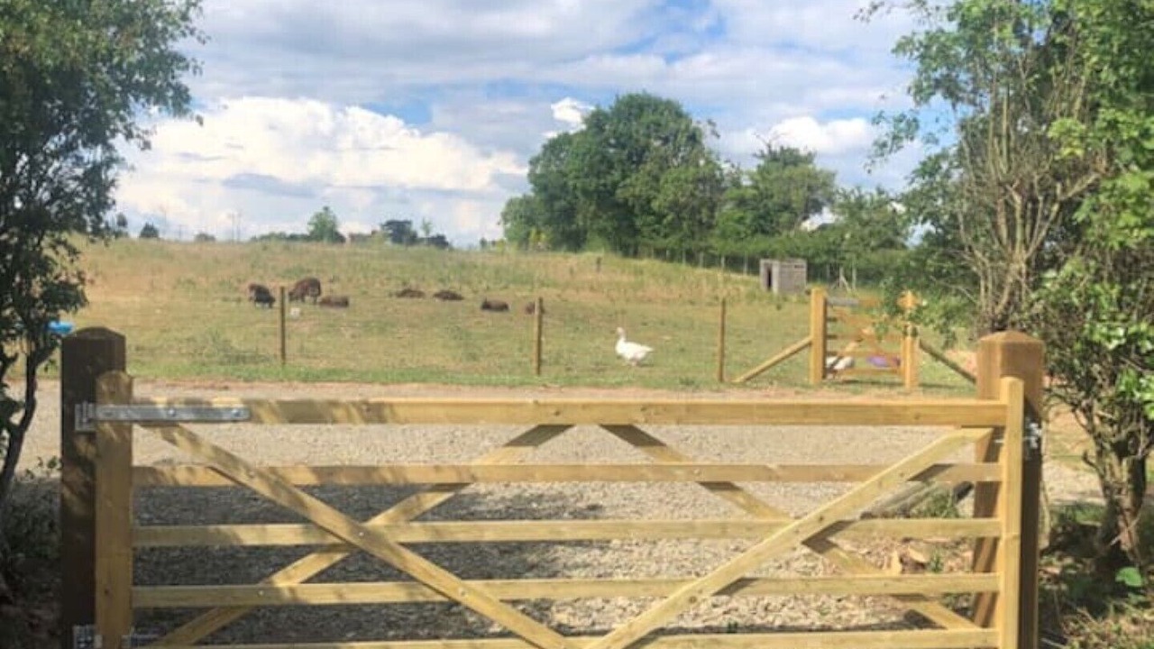 Photo of Outdoor in Great Witley