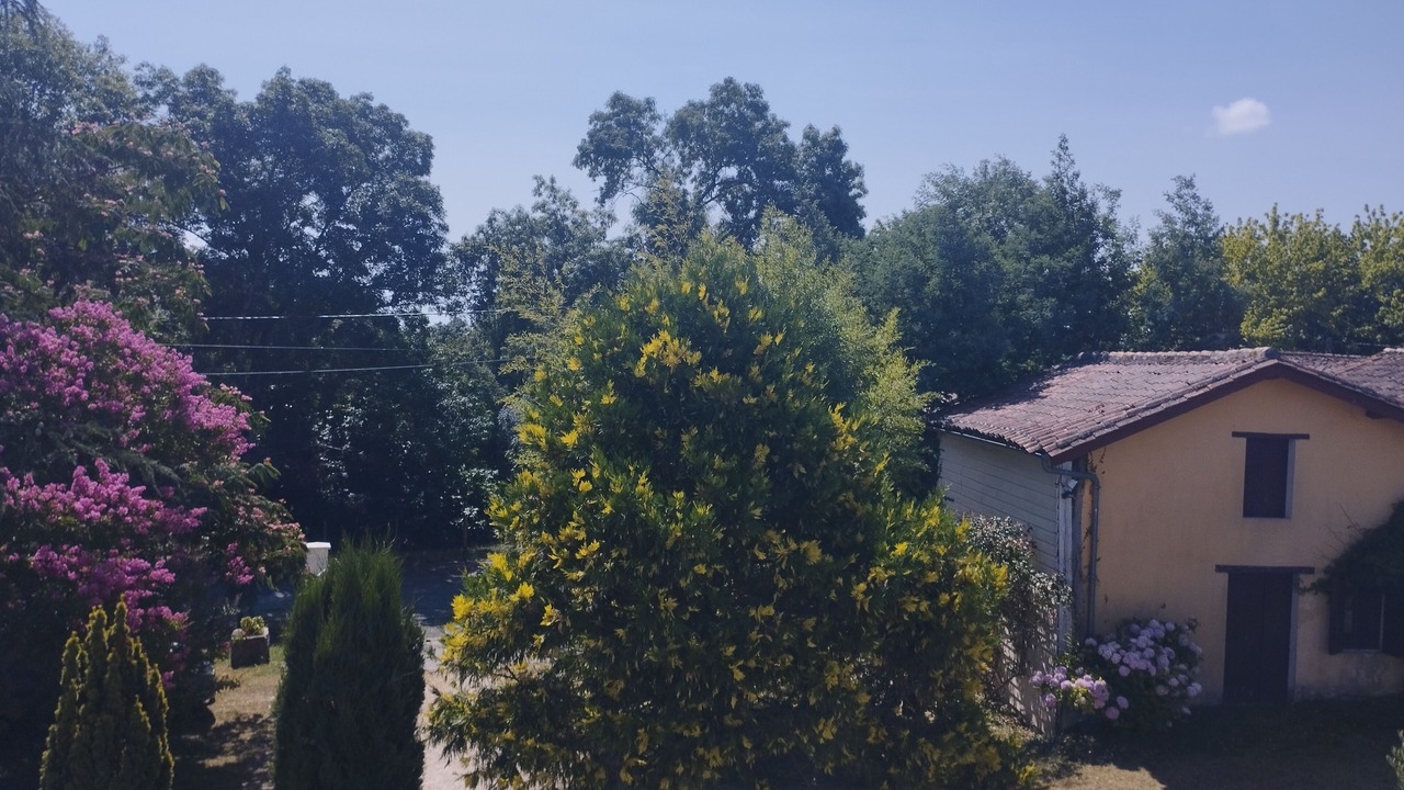 Photo of Outdoor in Saint-Aigulin