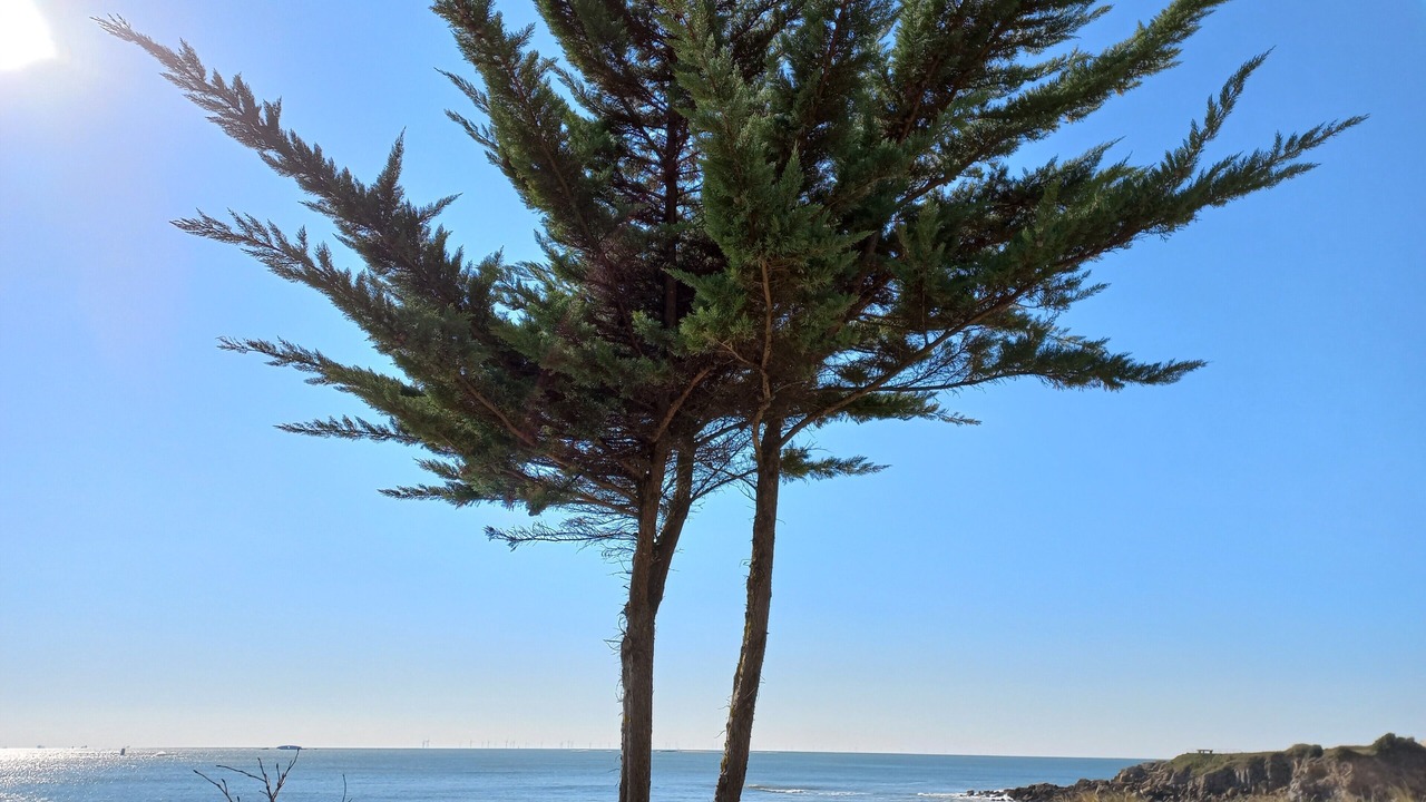 Photo of Others in Pornichet