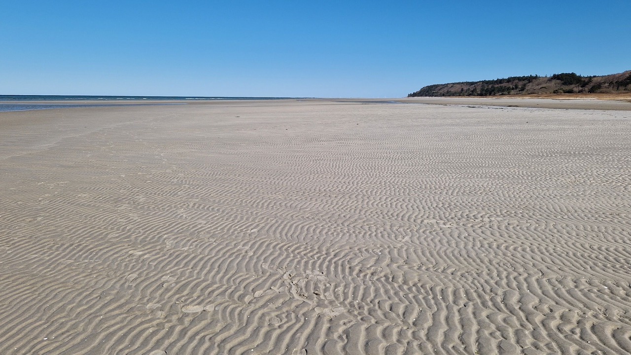 Photo of Others in Bønnerup Strand