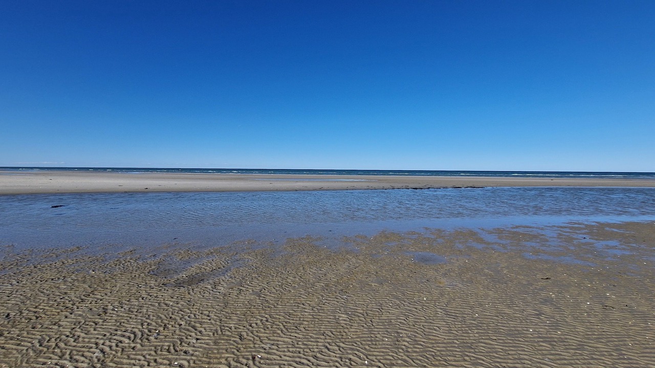 Photo of Others in Bønnerup Strand