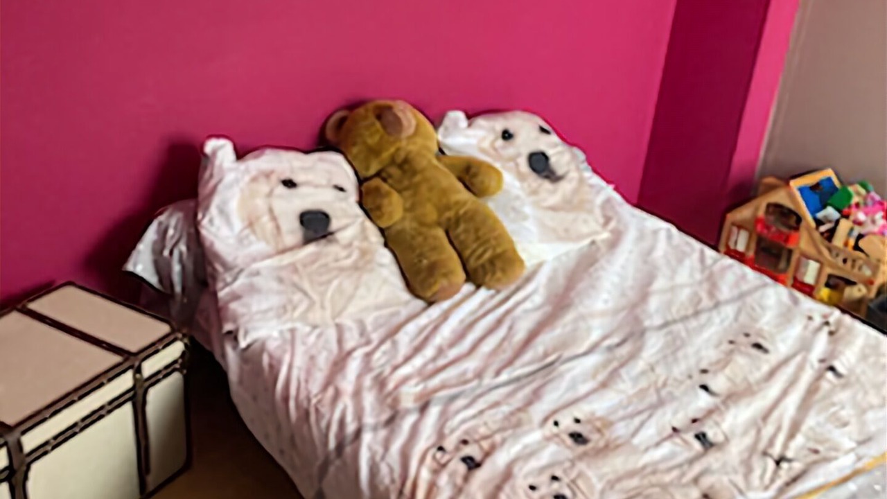 Photo of Bedroom in Lamasquere