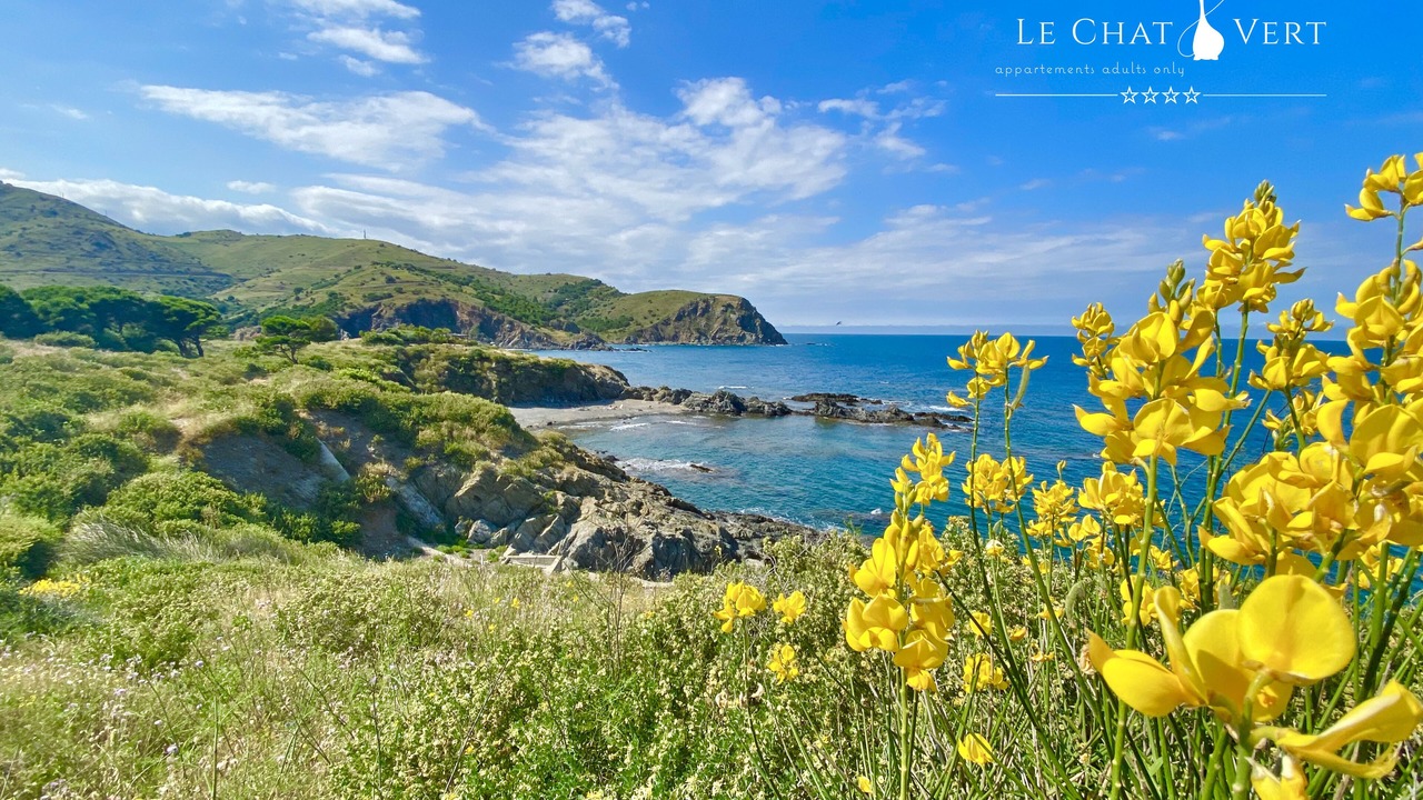 Photo of Others in Saint-Andre