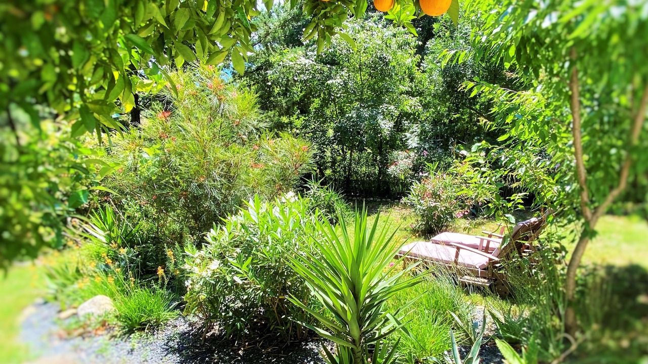 Photo of Outdoor in Saint-Andre